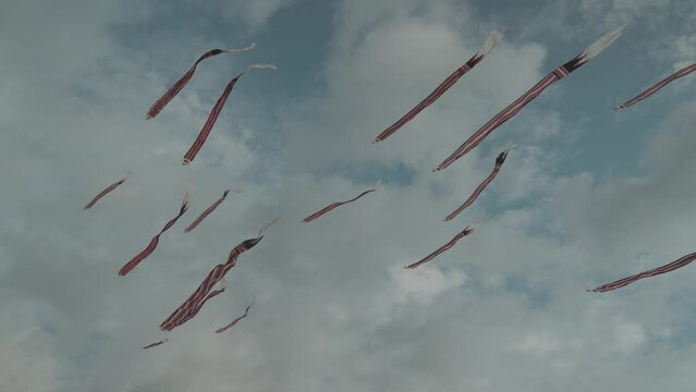 Balinese Traditional Kites JANGGAN (Red White Black Long Tail Bird Dragon) on Bali Kite Festival Summer Blue Sky Slow Motion