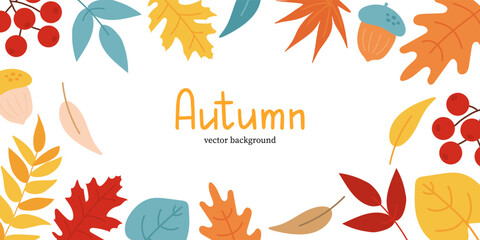 Fototapeta na wymiar Autumn background with leaves, acorns and rowan