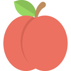 Apricot