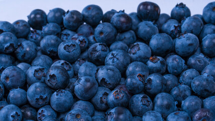 Blueberries in a plastic container isolated on white background.
