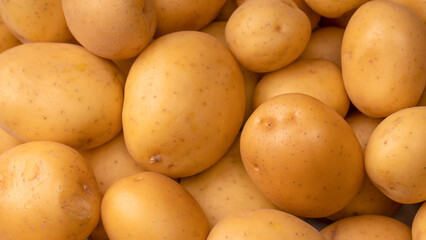 A group of fresh tasty potato as  background.