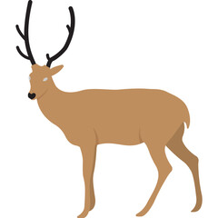 Cartoon Reindeer 