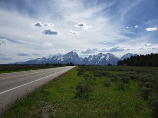 Wildlife in the west