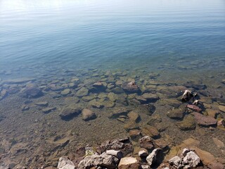 Wildlife in the west