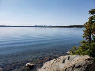 Wildlife in the west