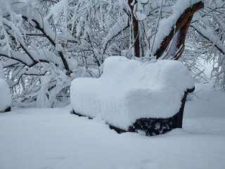Snow covered bench. Winter park.