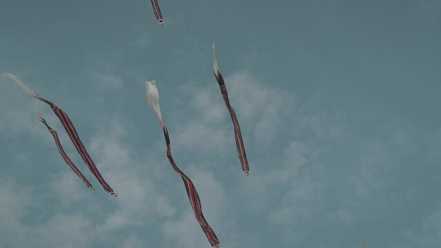 Balinese Traditional Kites JANGGAN (Red White Black Long Tail Bird Dragon) on Bali Kite Festival Summer Blue Sky Slow Motion
