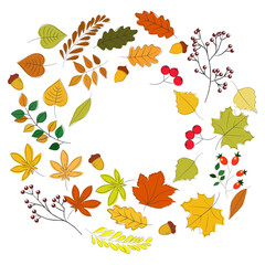 Obraz premium Autumn leaves vector set of illustrations. Colorful and bright cartoon style. Maple and oak, rowan and acorns, birch and rosehip, poplar and chestnut leaves stand out on a white background.