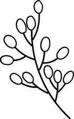 flower illustration on transparent background