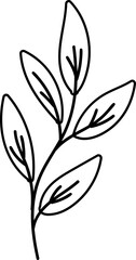 flower illustration on transparent background