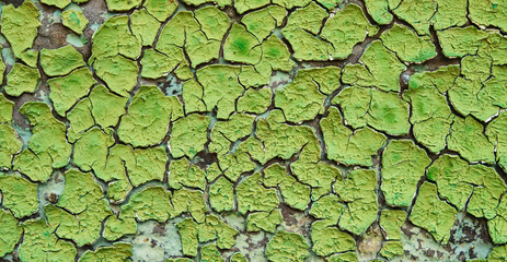 Old Peeling paint on wall Pattern rustic green grunge material Background