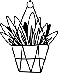 flower illustration on transparent background