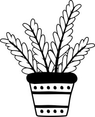 flower illustration on transparent background