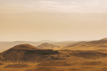 Naklejka premium Desert landscape in Egypt. Camels on the background of a rocky desert.