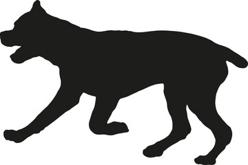 Black dog silhouette. Running, jumping italian mastiff puppy. Cane corso italiano or italian corso dog. Pet animals. Isolated on a white background.