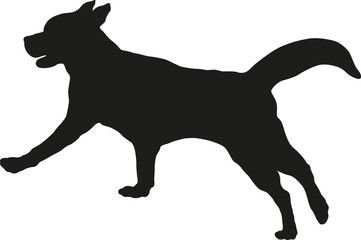 Running and jumping golden retriever puppy. Black dog silhouette. Pet animals. Isolated on a white background.