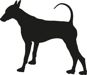 Black dog silhouette. Standing mexican hairless dog puppy. Pet animals. Isolated on a white background.