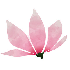 Fototapeta premium Watercolor flower png