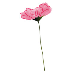 Flower Watercolor Painting Png