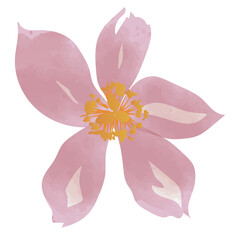 Watercolor Flower Painting