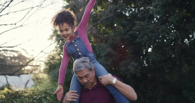 Fun grandfather carrying playful child on shoulders, having fun or playing in home garden, backyard or public park. Silly, goofy and little girl bonding with family, pretending to fly with senior man