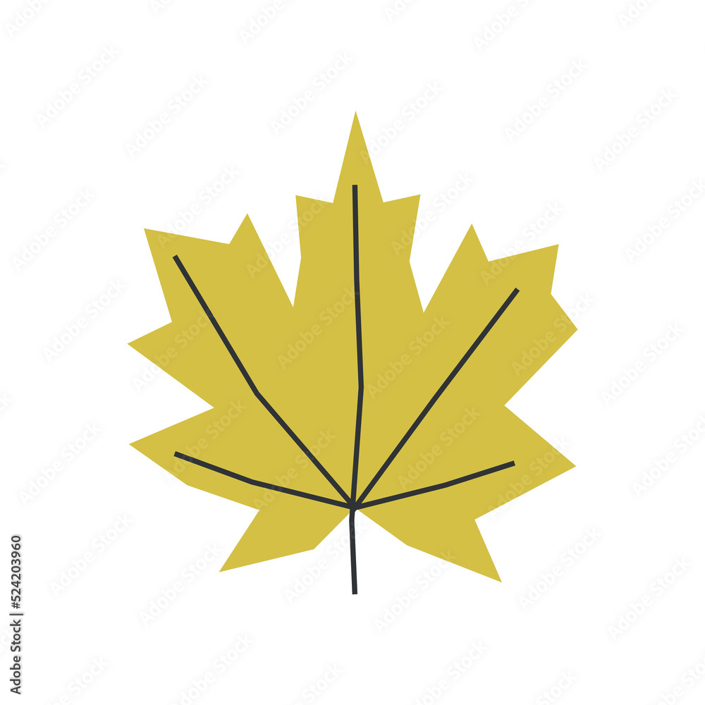 Wall mural vector isolated illustration with flat botanical element. yellow symbol of autumn in canada - maple 