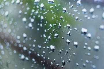 Raindrops on the windshield with blurred background.