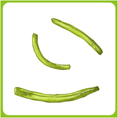 手描き水彩のドライいんげんチップスイラスト