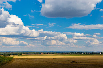 Fototapeta na wymiar Beautiful view of the summer fields. Rural landscape.