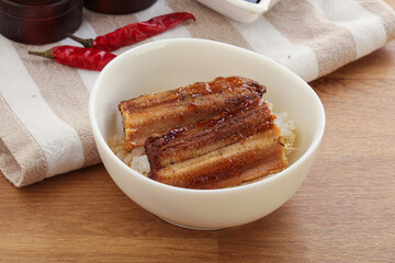 Roasred eel with steamed rice