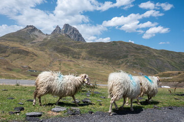 Pic d'Ossau dans les Pyr&eacute;n&eacute;es atlantiques