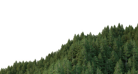 Coniferous forest on a transparent background  © jomphon
