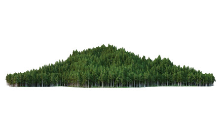 Coniferous forest on a transparent background  © jomphon