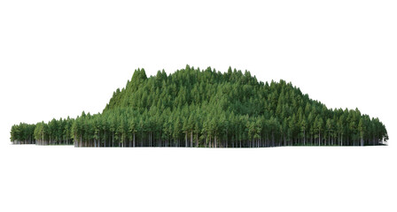 Coniferous forest on a transparent background
