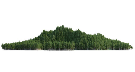 Coniferous forest on a transparent background
