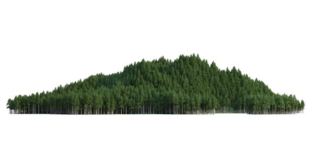 Coniferous forest on a transparent background  © jomphon