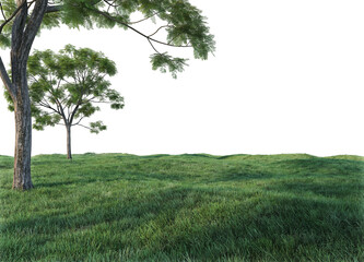 Meadow on a transparent background
