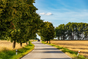 Fototapeta na wymiar Road in the countryside. Summer day. South Czech Republic.