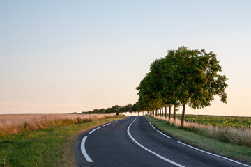 Coucher de soleil sur une route au milieu des champs, bordée d'arbres