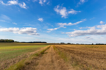 Fototapeta na wymiar Road betwin green grass field under white clouds and blue sky.