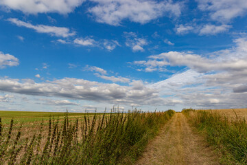 Road betwin green grass field under white clouds and blue sky.