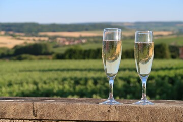 Deux verres à vin (flûtes / coupes) remplis de champagne, posés devant un paysage de vigne dans...
