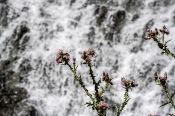 a stormy waterfall against the backdrop of green trees and mountains and a blue sky in the mountains of Armenia