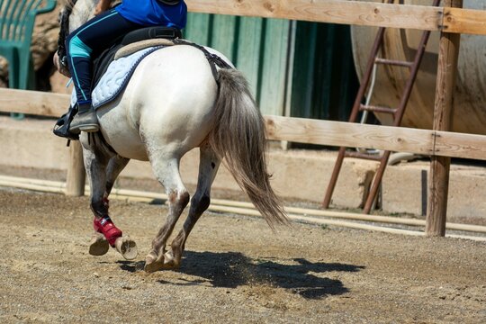 Little girl that rides a white pony during Pony Game competition at the Equestrian School