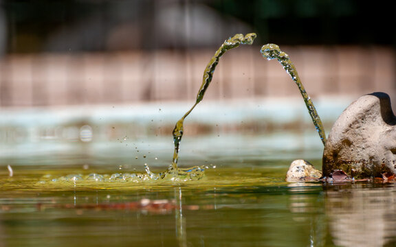 Splash of Water from a Fountain in Italian Park called Villa Peripato in Taranto © daniele russo