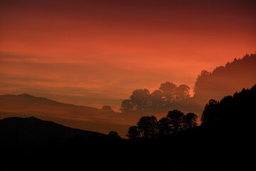 Sunset with tree line