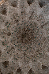 Ornamental ceiling and walls in Nasrid Palaces in the Alhambra palace Granada, Andalusia, Spain
