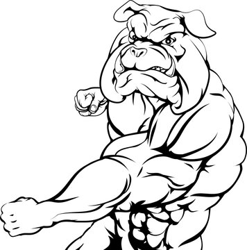 Tough bulldog character punching