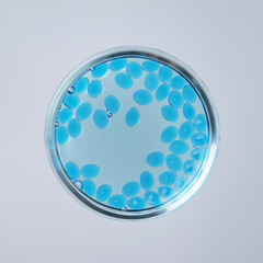 In vitro fertilisation concept. Artificial insemination or fertility treatment macro photography..