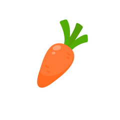 Orange carrots. a fruit that is high in vitamins. for healthy cooking